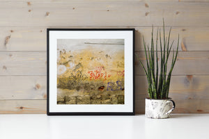 Distress wall Brasov Romania | Photo Art Print fine art photographic print