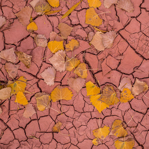 Dried desert riverbed background | Photo Art Print fine art photographic print