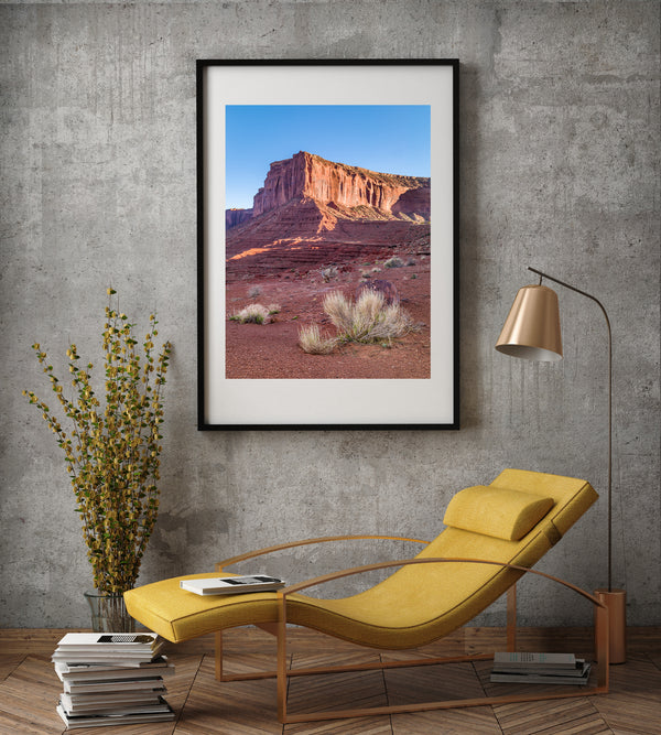 Dried shrub in the desert | Photo Art Print fine art photographic print