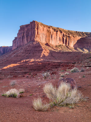 Dried shrub in the desert | Photo Art Print fine art photographic print