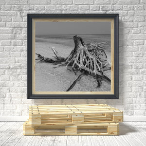 Driftwood Dry Tortugas | Photo Art Print fine art photographic print