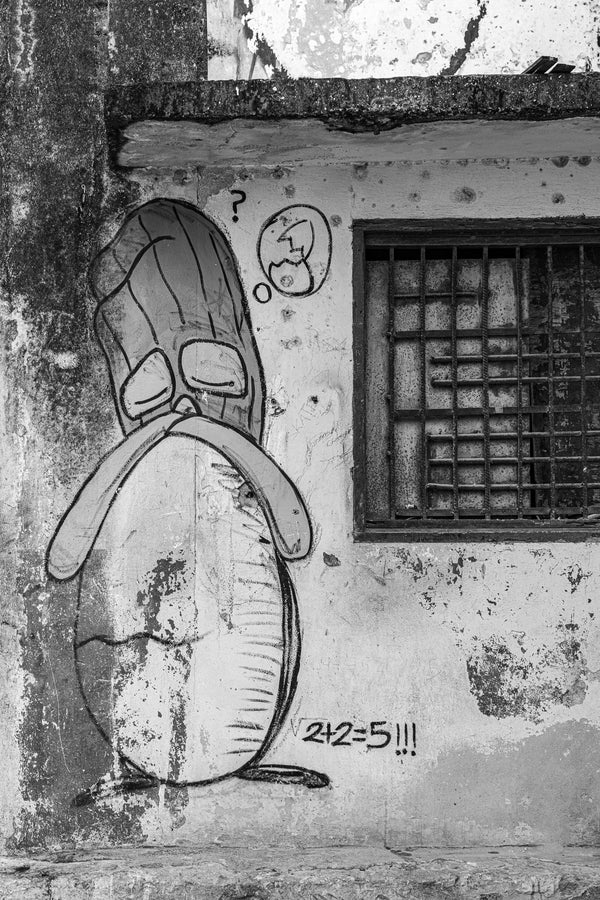 Dumb Egg Wall Art on Textured Wall Havana | Photo Art Print fine art photographic print