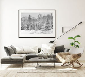 Nevadas tempranas Bosque del norte de Ontario junto al estanque | Foto Impresión de arte Fine Art impresión fotográfica