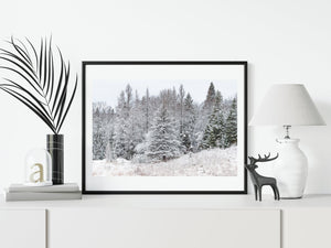 Early snowfall in Northern Ontario forest | Photo Art Print fine art photographic print