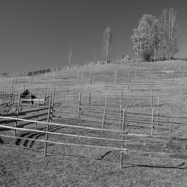 Farm Fencing on the hills of Romania | Photo Art Print fine art photographic print