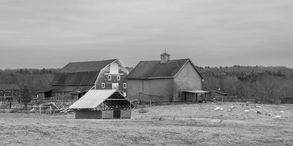 Farmhouse and barn rural Maine | Photo Art Print fine art photographic print