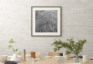 Pale grass blades sweep through darker shadows in an intricate natural pattern.
