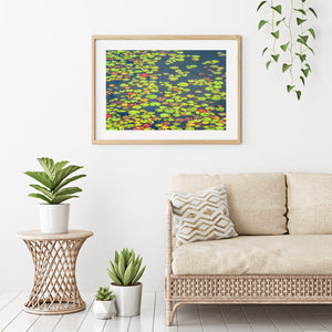 Floating Illy pads in a pond | Photo Art Print fine art photographic print