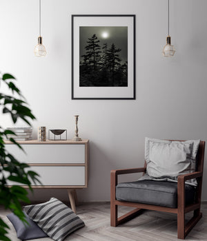 Forest in Haliburton on Foggy Morning | Photo Art Print fine art photographic print