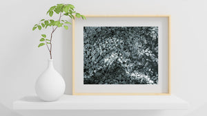 Gebrochenes Eis Fine Art Foto