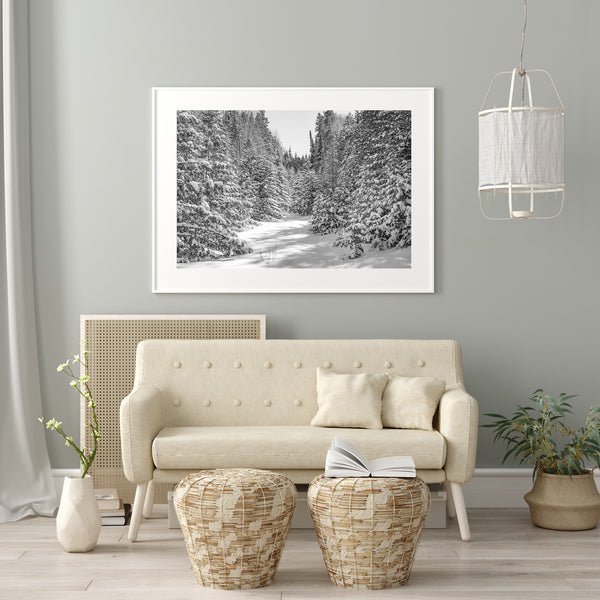 Fresh snow in the forest Haliburton Ontario | Photo Art Print fine art photographic print