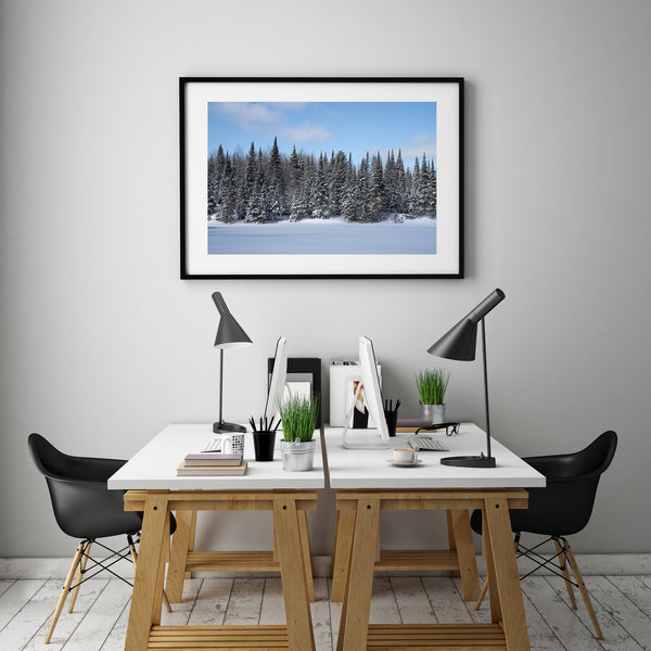 Fresh snow on trees Haliburton Ontario | Photo Art Print fine art photographic print