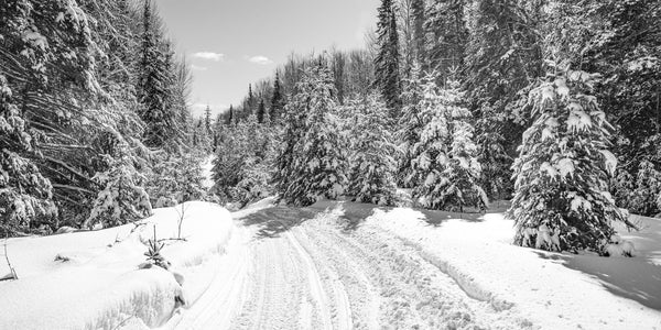 Fresh snow snowmobile trail Haliburton Ontario | Photo Art Print fine art photographic print