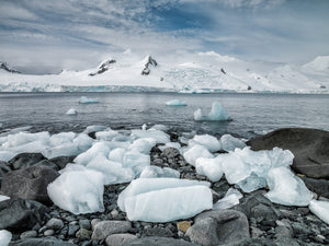 Frozen ice on the rocky Antarctica shore | Photo Art Print fine art photographic print