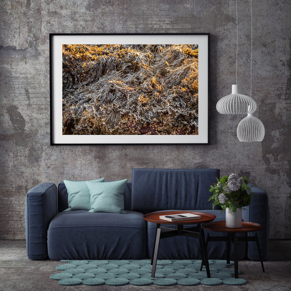 Frozen seaweed Acadian National Park | Photo Art Print fine art photographic print