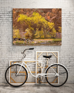 Golden yellow trees Zion National Park | Photo Art Print fine art photographic print