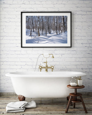 Blue woodland shadows curve across soft snowdrifts among Haliburton birches
