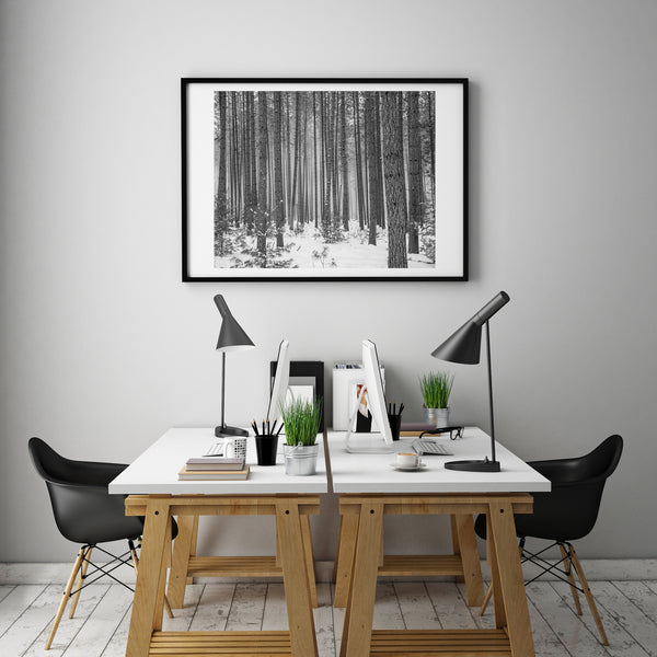 Haliburton County tall trees in winter | Photo Art Print fine art photographic print
