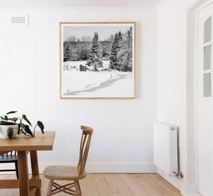 Oude vissershut op de landbouwgrond Haliburton Highlands | Foto Kunstprint Fine Art fotografische afdruk
