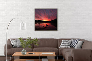 Dark stumps rise from red reflections beneath dramatic Haliburton sunrise clouds