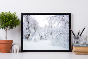 Schnee erobert die Bäume in Haliburton | Foto Kunstdruck Fine Art Fotodruck