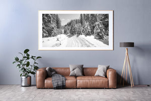 A wide monochrome winter landscape follows a quiet Ontario snowmobile trail