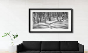 Dense foreste di Haliburton in inverno | Foto Stampa d’arte Fine Art stampa fotografica