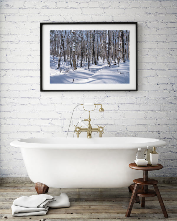 Haliburton winter forest trees | Photo Art Print fine art photographic print