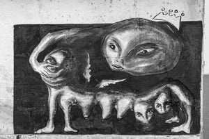 Strana creatura Arte da parete L'Avana | Foto Stampa d’arte Fine Art stampa fotografica