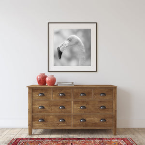 Flamingo head and beak monochrome portrait