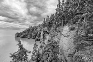 Black and white Hopewell Cape landscape with rocky sea stacks and evergreen trees along the shore.