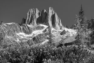 Black and white Bugaboos landscape with jagged granite spires and evergreen trees.