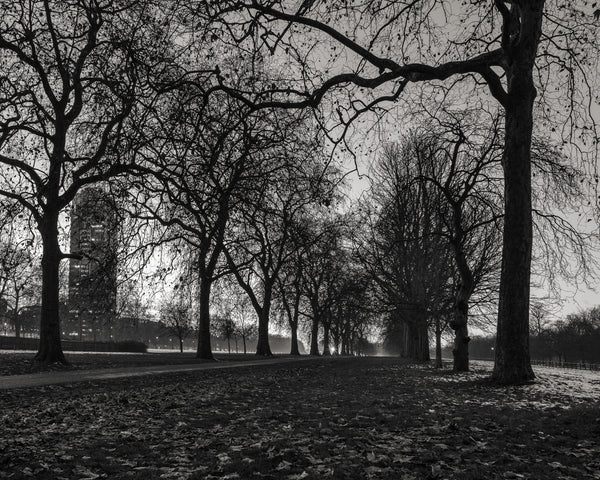 Hyde Park Winter Dark path London | Photo Art Print fine art photographic print