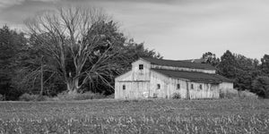 A pale wooden farm building stands beside spreading leafless branches in rural Indiana.
