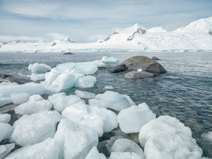 Large chunks of ice along the shoreline in Antarctica | Photo Art Print fine art photographic print