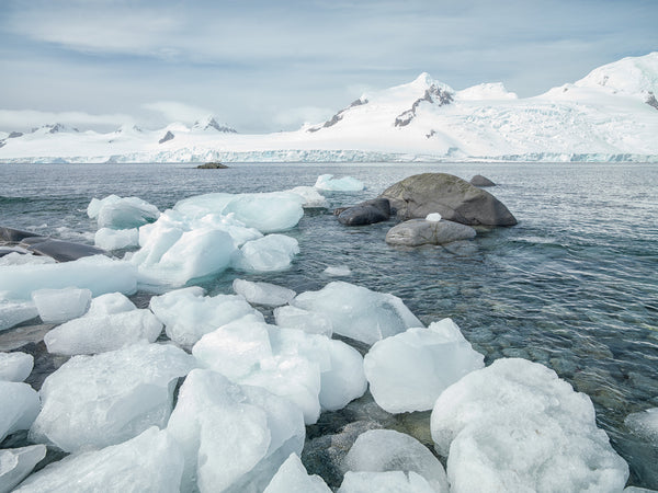 Large chunks of ice along the shoreline in Antarctica | Photo Art Print fine art photographic print