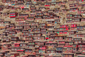 Colour photograph of closely packed hillside dwellings with bright window frames at Larung Gar.