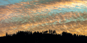 Late sunset sky against silhouetted tree line in Romania | Photo Art Print fine art photographic print