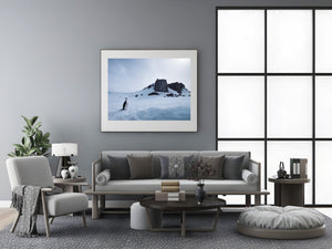 Lone Chinstrap penguin standing on the ice and snow | Photo Art Print fine art photographic print