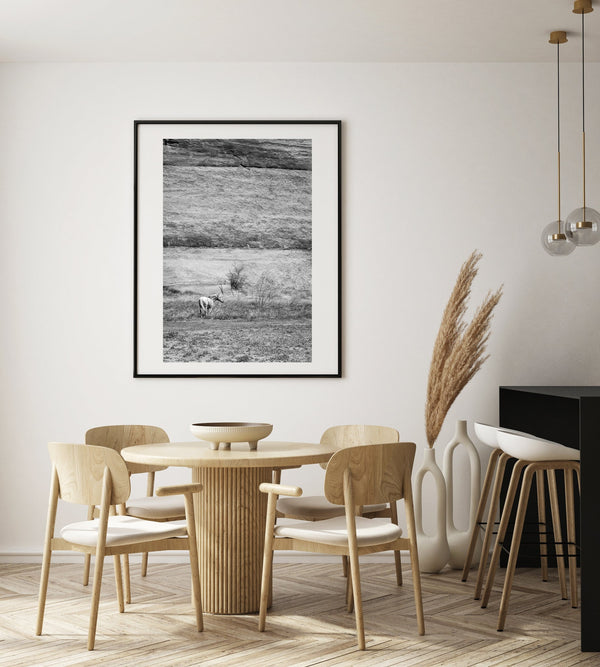Lone Wild Horse Canyon de Chelly | Photo Art Print fine art photographic print