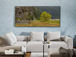 Lone tree in the British Columbia rain forest | Photo Art Print fine art photographic print