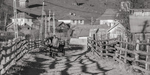 A horse cart travels along a fenced village lane in rural Romania