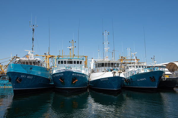 Modern fishing boat tied together in a commercial marina | Photo Art Print fine art photographic print