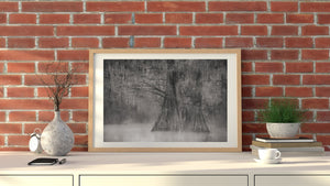 Moody morning mist Louisiana Swamps | Photo Art Print fine art photographic print