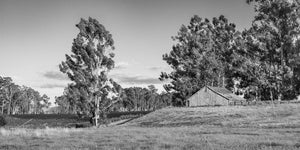 Weathered wooden barn beside vineyard rows in Napa Valley