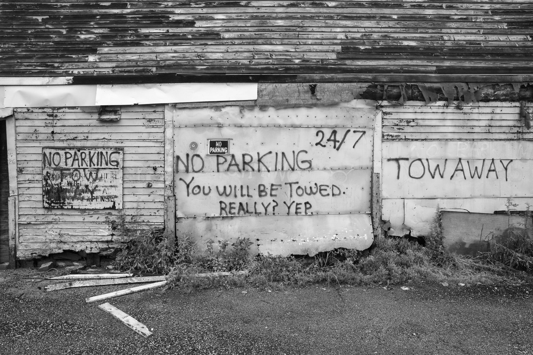 Portland Fish Sign No Parking Portland Fish Market | Wall Art – Dan Kosmayer Fine Art ...