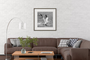 Basstölpel landen im Ozean | Foto Kunstdruck Fine Art Fotodruck