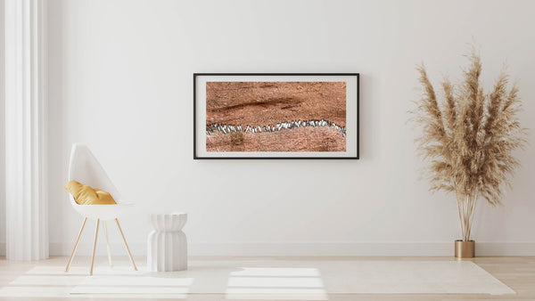 Northern Gannet on cliff Bonaventure Island | Photo Art Print fine art photographic print