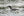 Northern Loon bird with a minnow | Photo Art Print fine art photographic print
