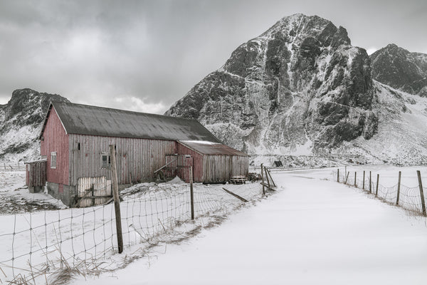 Scenic view of traditional Norwegian barn on rural road